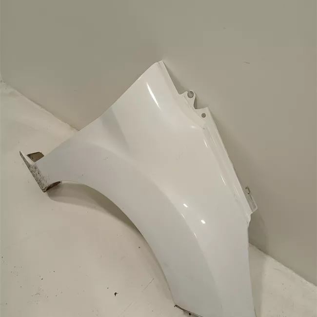 Parafango anteriore destro