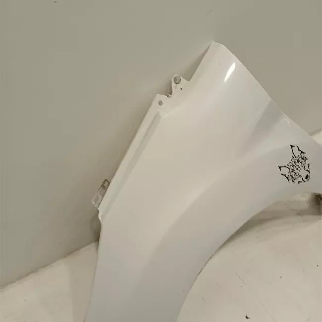 Parafango anteriore sinistro
