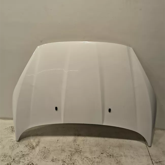 Cofano anteriore