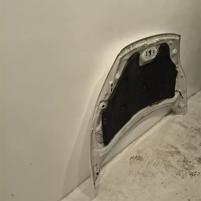 Cofano anteriore