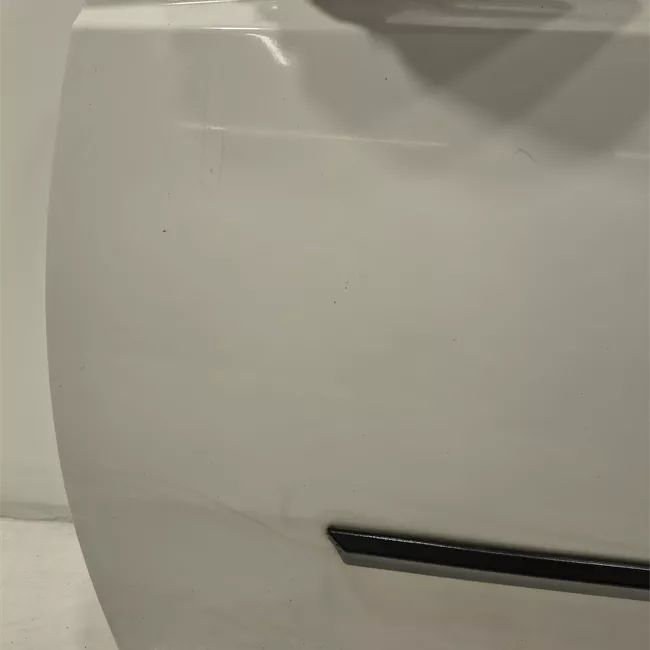 Porta anteriore sinistra