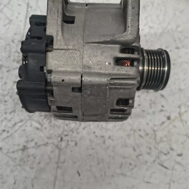 Alternatore punz. TG125275