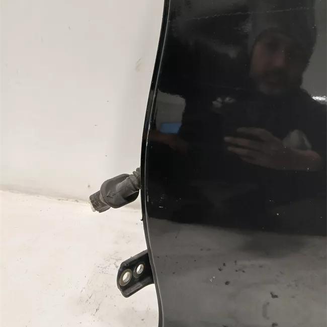 Porta posteriore sinistra