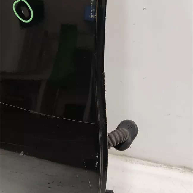 Porta posteriore destra