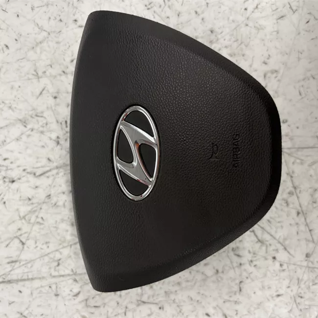 Dispositivo airbag lato guida