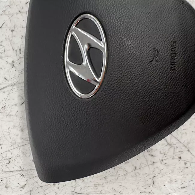 Dispositivo airbag lato guida