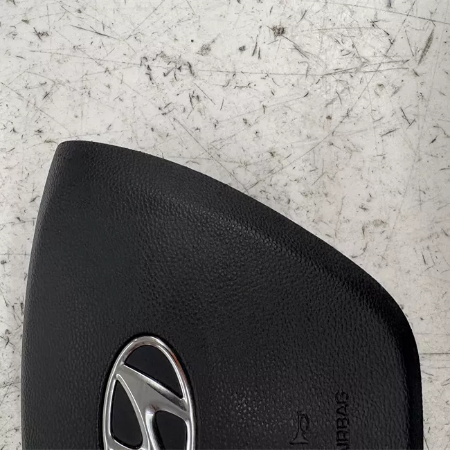 Dispositivo airbag lato guida
