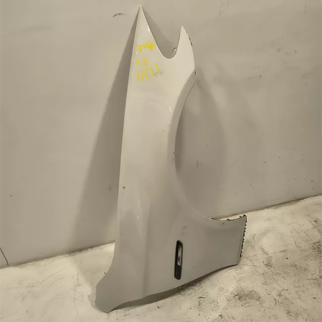 Parafango anteriore destro