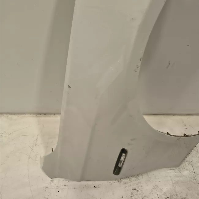 Parafango anteriore destro