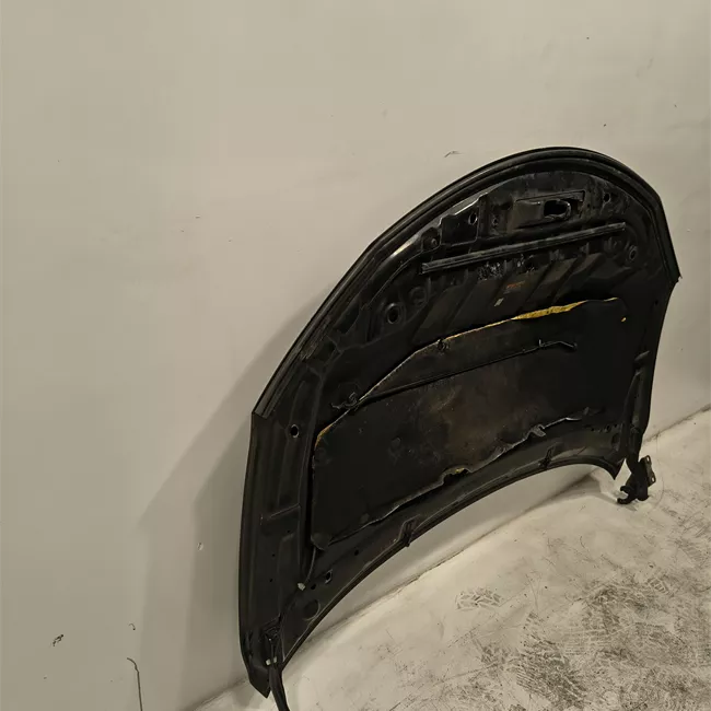 Cofano anteriore