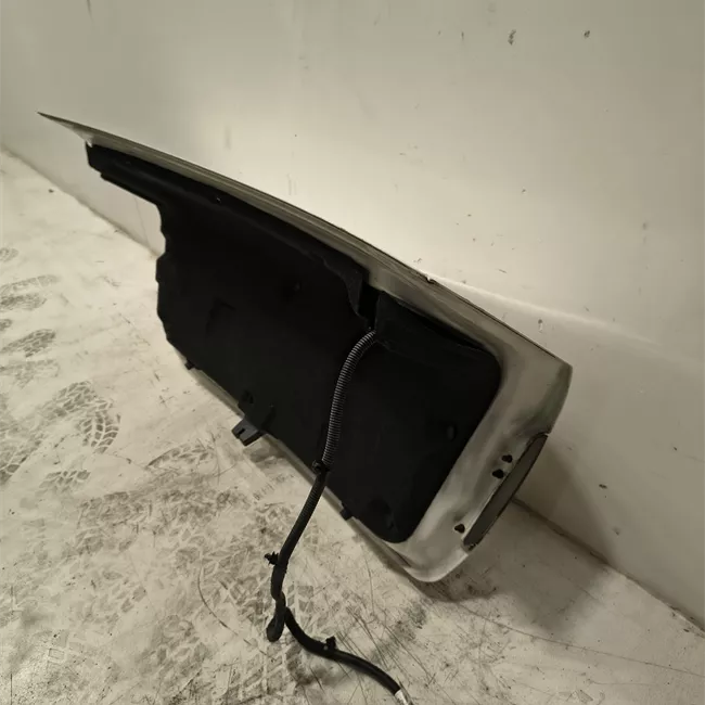 Cofano posteriore